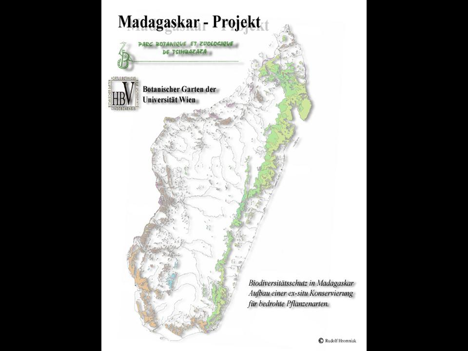 Madagaskar Projekt 2000 (001)
