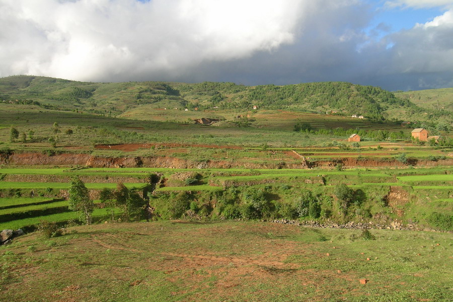 Madagaskar Projekt 2006 (239)