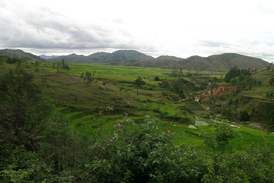 Madagaskar Projekt 2006 (258)