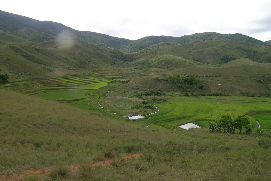 Madagaskar Projekt 2006 (271)