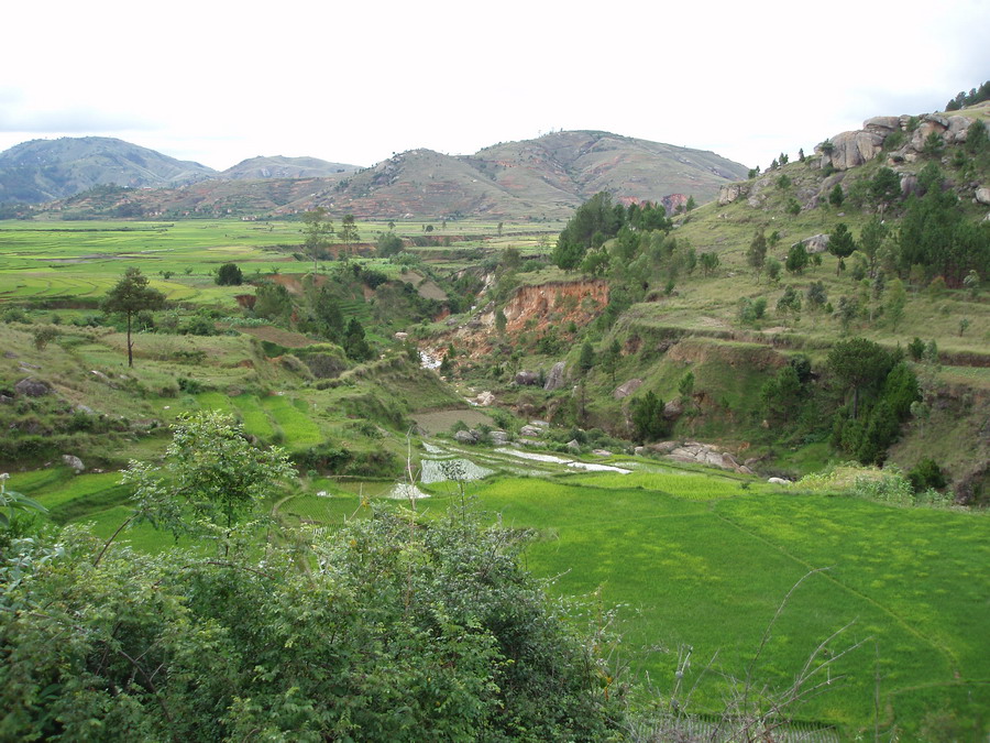 Madagaskar Projekt 2006 (355)