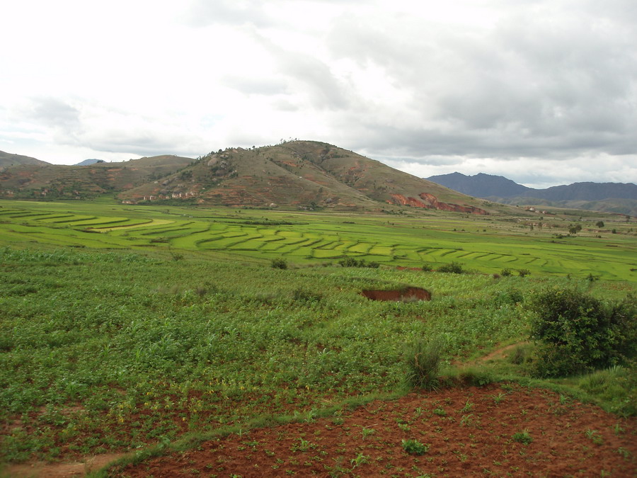 Madagaskar Projekt 2006 (356)