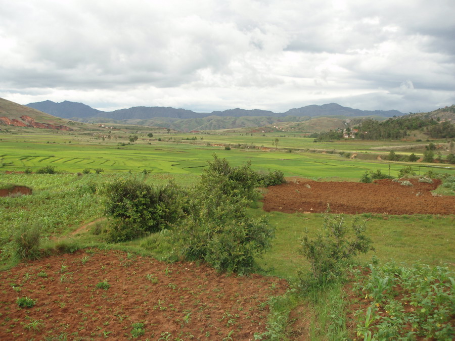 Madagaskar Projekt 2006 (357)