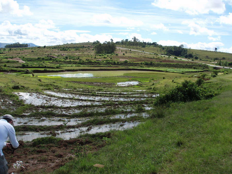 Madagaskar Projekt 2006 (448)