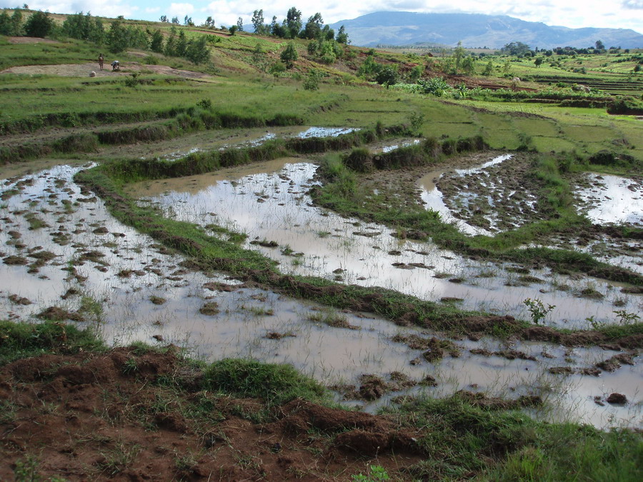 Madagaskar Projekt 2006 (449)