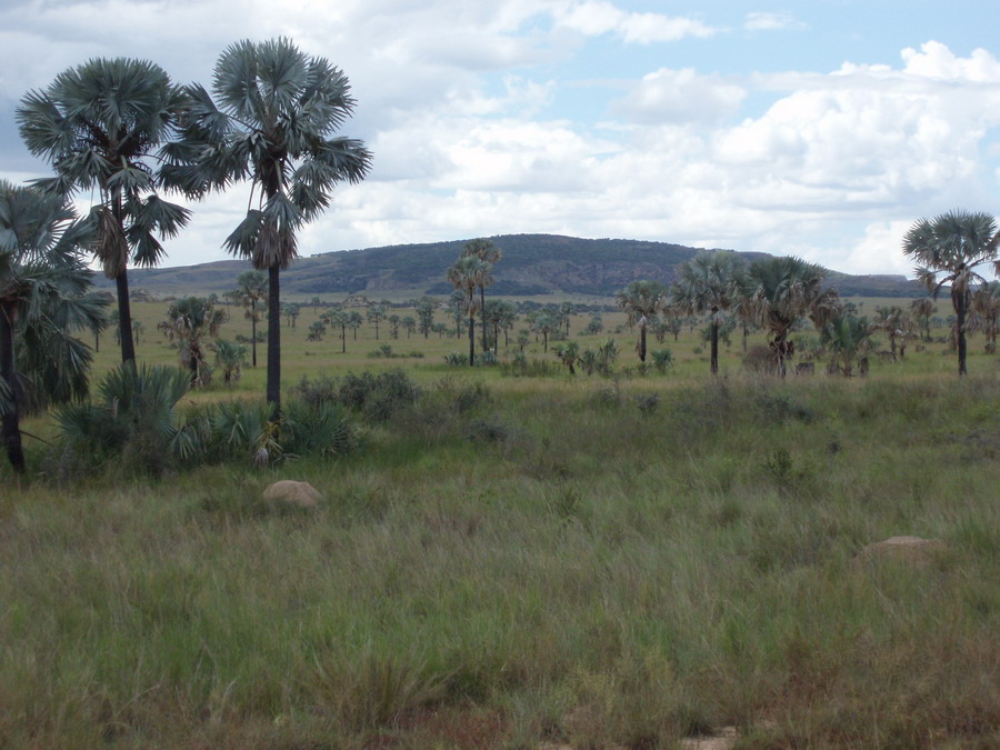 Madagaskar Projekt 2006 (551)