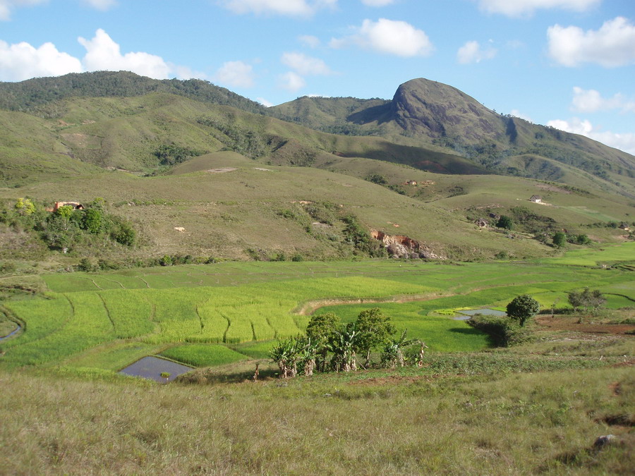 Madagaskar Projekt 2006 (560)