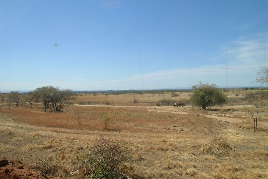 Madagaskar Projekt 2004 (041)