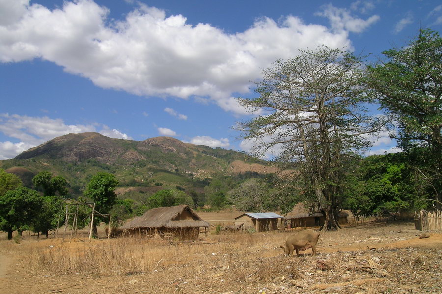 Madagaskar Projekt 2004 (066)