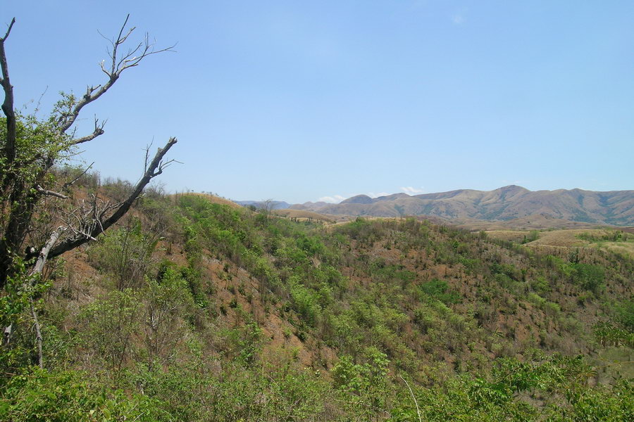 Madagaskar Projekt 2004 (079)