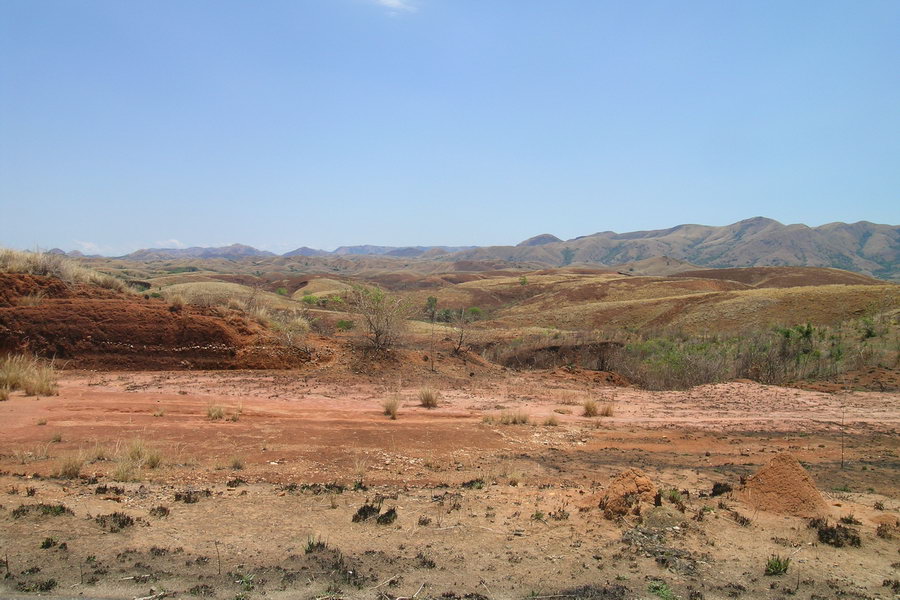 Madagaskar Projekt 2004 (080)