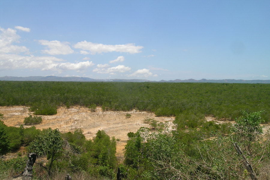 Madagaskar Projekt 2004 (111)