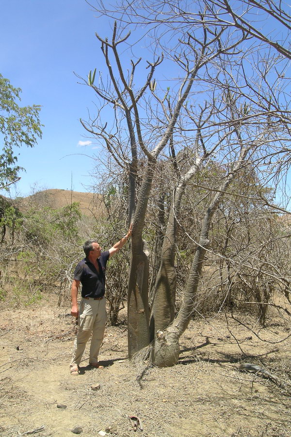 Madagaskar Projekt 2004 (142)