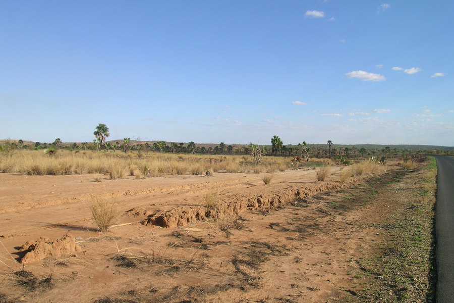 Madagaskar Projekt 2004 (196)