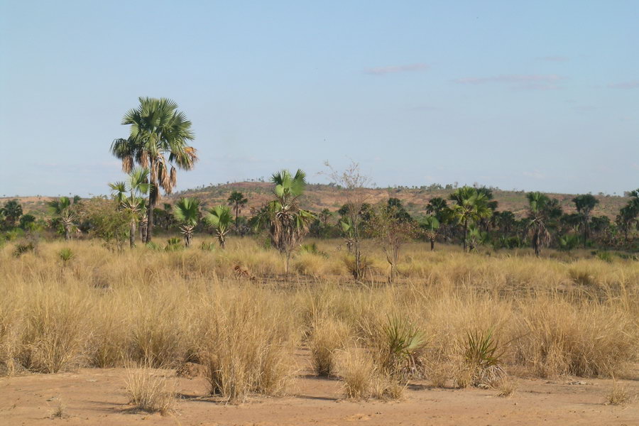Madagaskar Projekt 2004 (197)