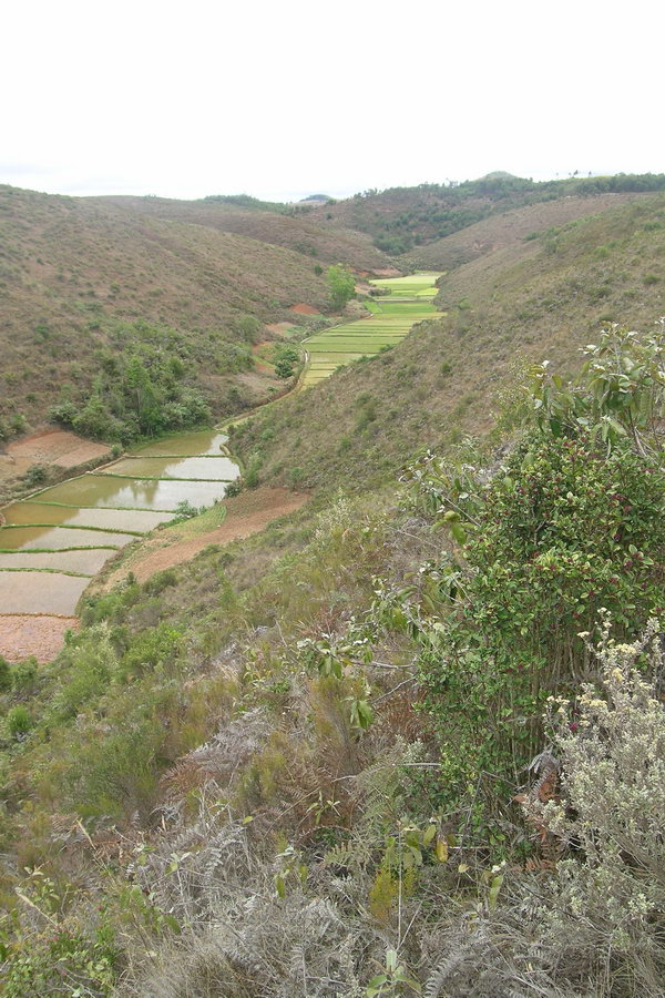 Madagaskar Projekt 2004 (240)