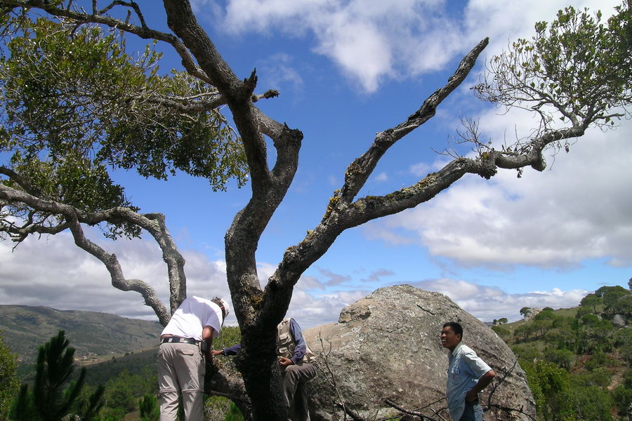 Madagaskar Projekt 2004 (259)