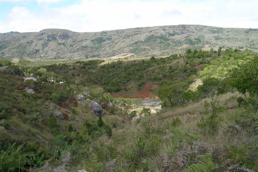 Madagaskar Projekt 2004 (269)
