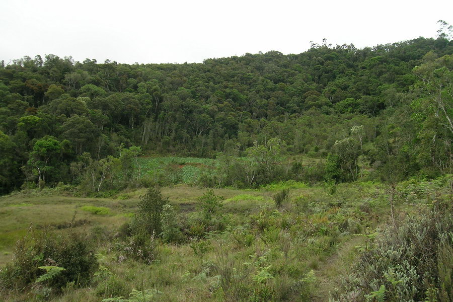 Madagaskar Projekt 2004 (285)