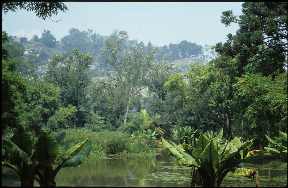 Madagaskar Projekt 2002 (038)