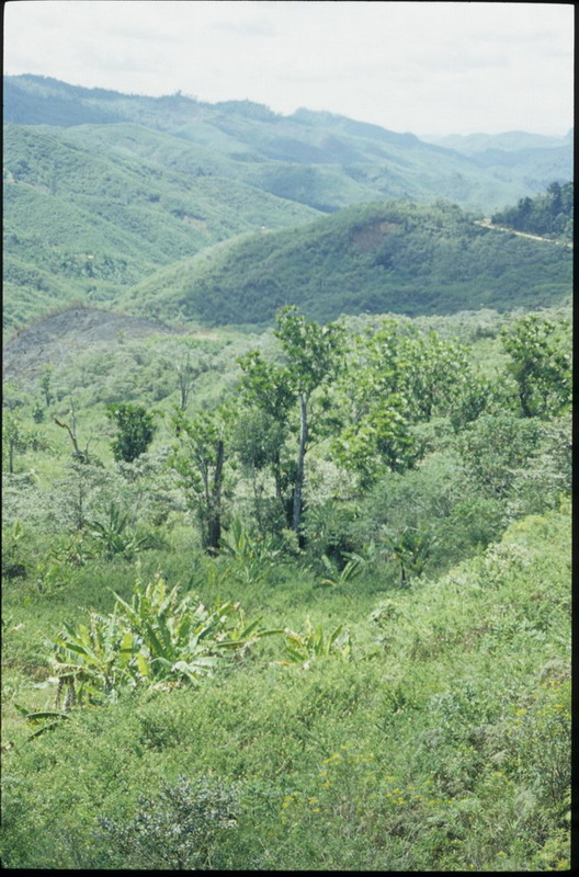 Madagaskar Projekt 2002 (049)