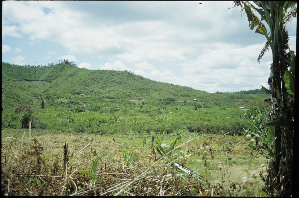 Madagaskar Projekt 2002 (056)