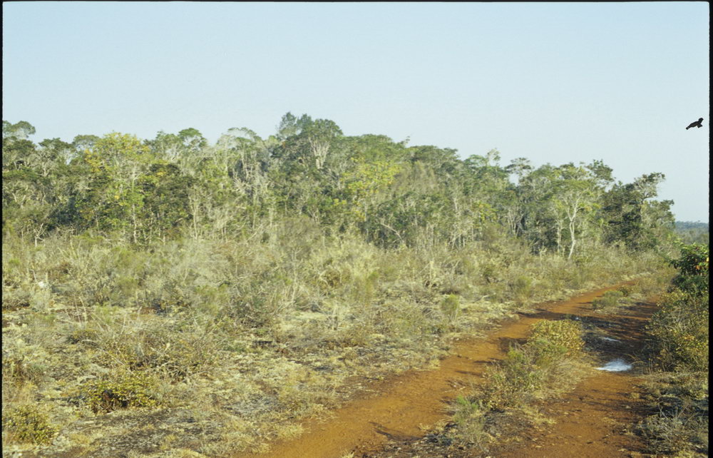 Madagaskar Projekt 2002 (106)