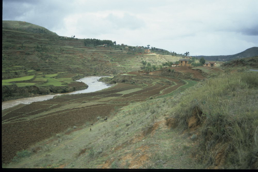 Madagaskar Projekt 2002 (110)