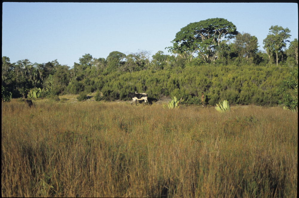 Madagaskar Projekt 2002 (126)