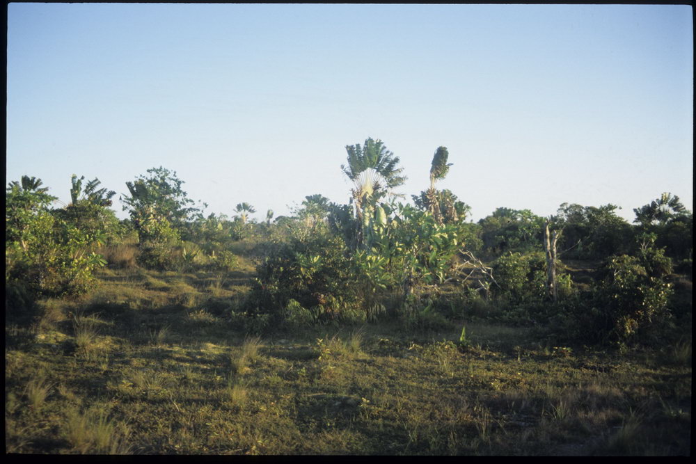 Madagaskar Projekt 2002 (127)