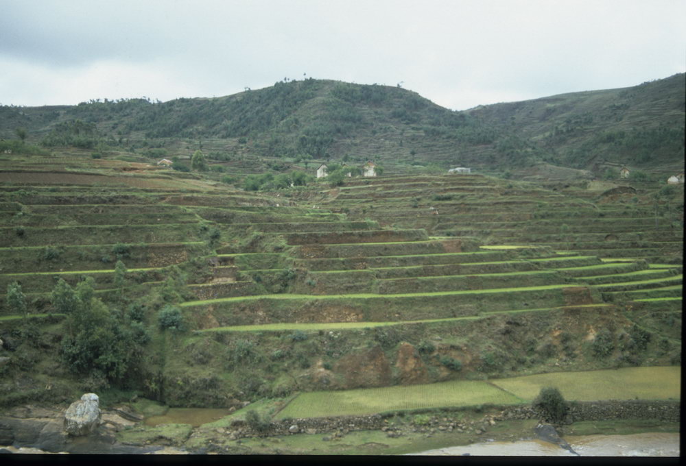 Madagaskar Projekt 2002 (130)