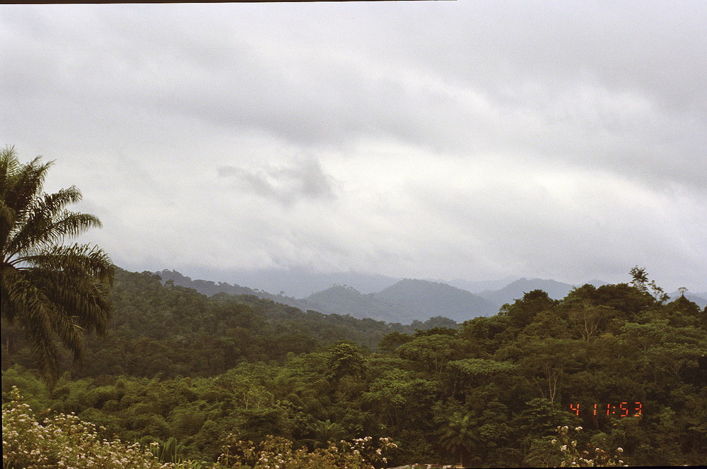 Congo 1996 (036)