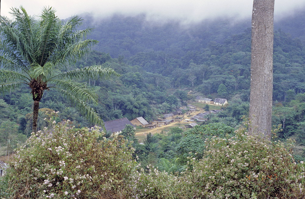 Congo 1996 (037)