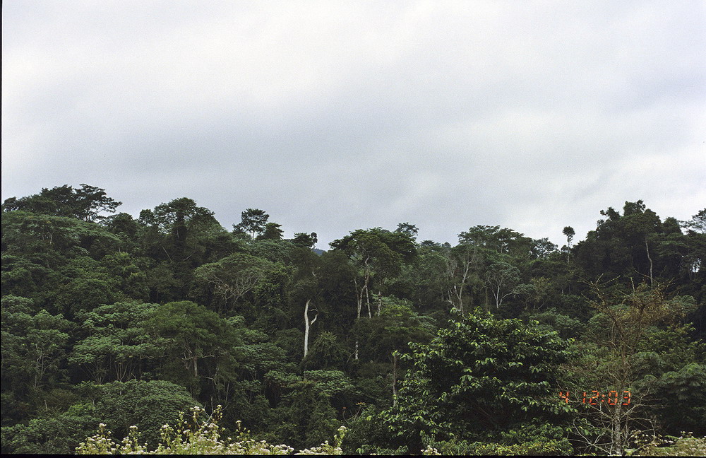 Congo 1996 (041)