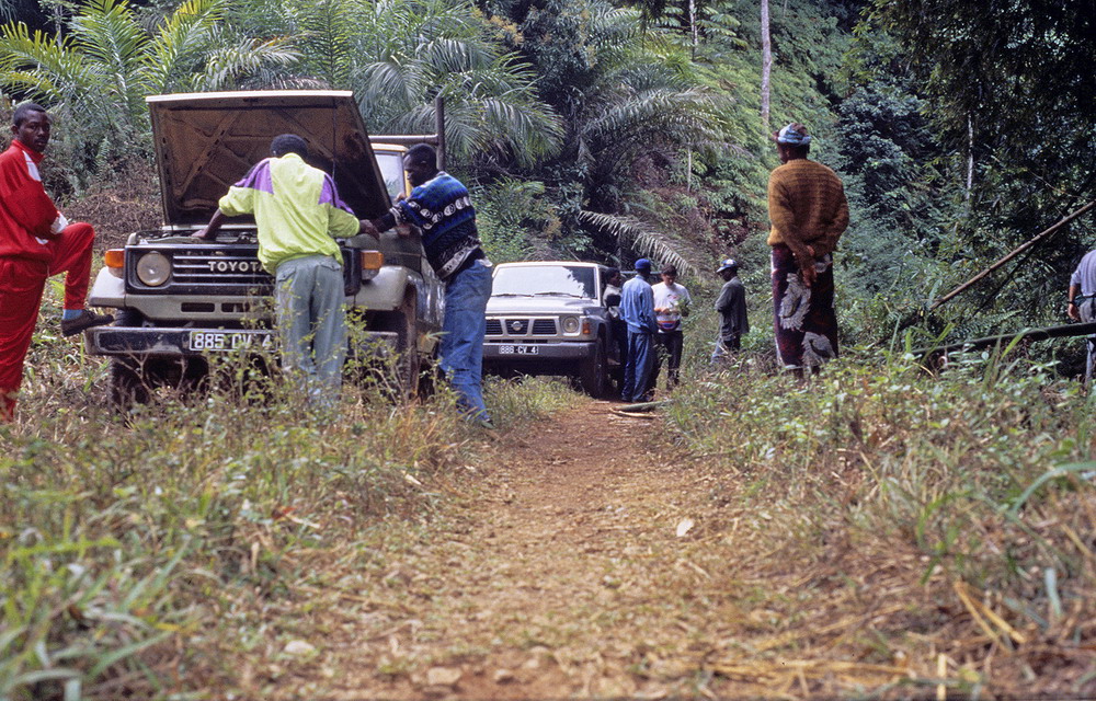 Congo 1996 (051)