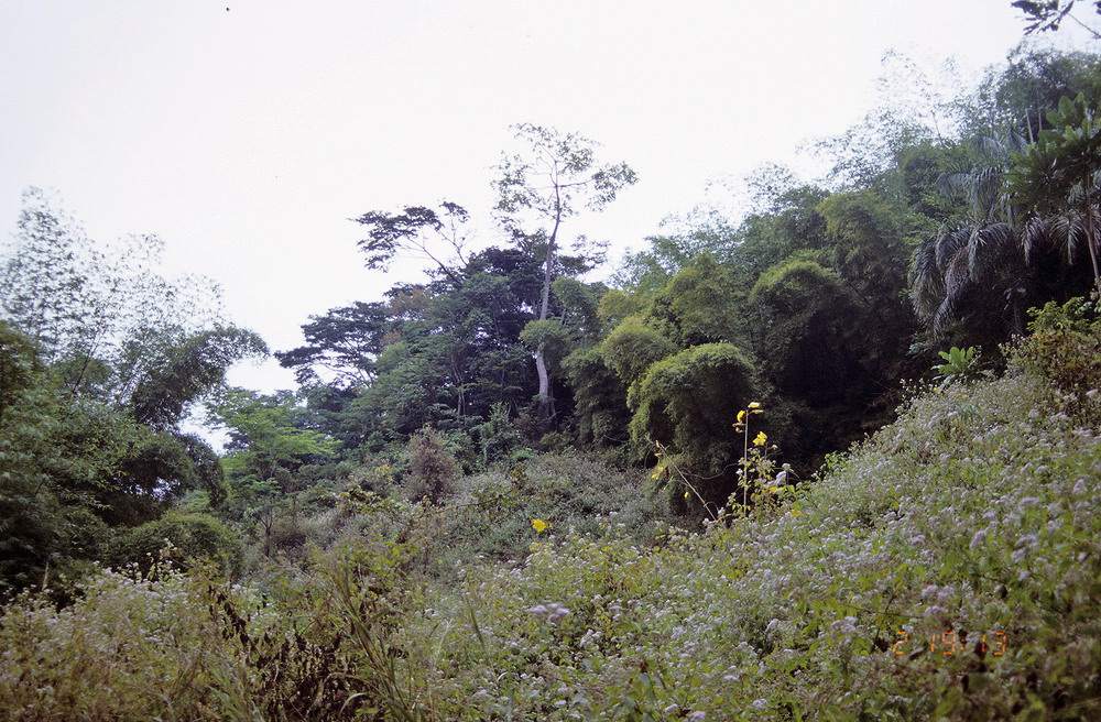 Congo 1996 (054)