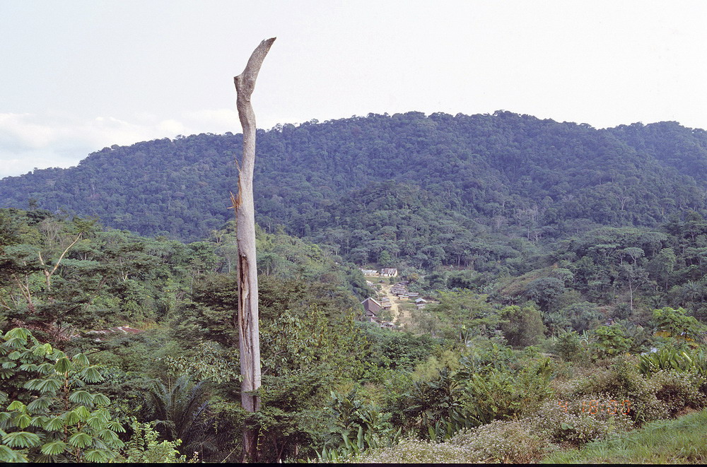 Congo 1996 (082)