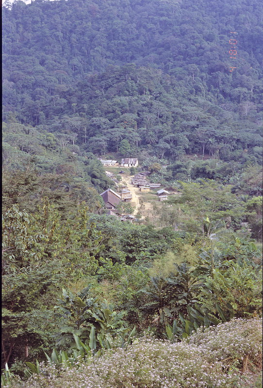 Congo 1996 (084)