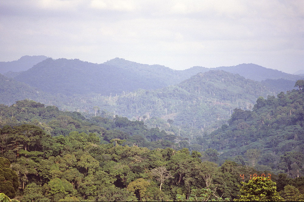Congo 1996 (088)