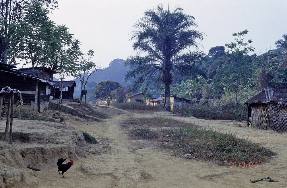 Congo 1996 (110)