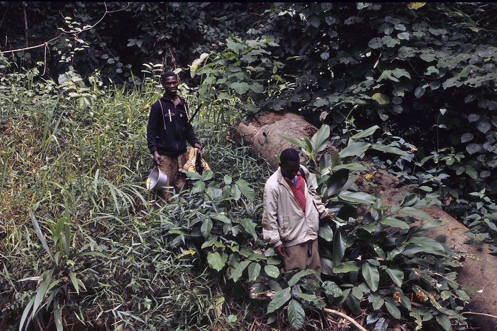 Congo 1996 (120)