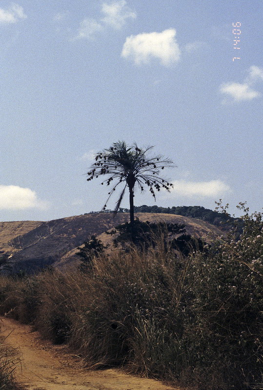 Congo 1996 (133)