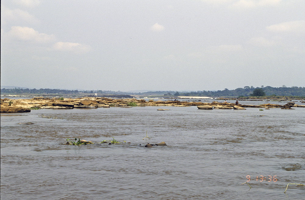 Congo 1996 (180)