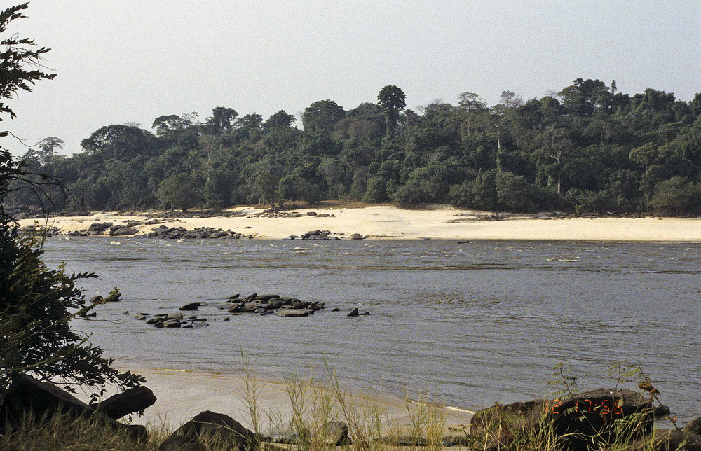 Congo 1996 (210)
