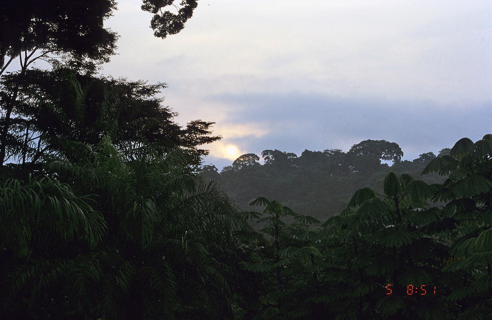 Congo 1996 (223)