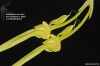 Bulbophyllum biflorum var. alba
