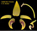 Bulbophyllum dearei
