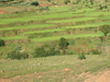 Madagaskar Projekt 2006 (089)