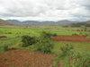 Madagaskar Projekt 2006 (357)