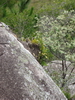 Madagaskar Projekt 2006 (378)